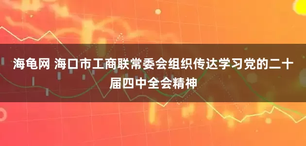 海龟网 海口市工商联常委会组织传达学习党的二十届四中全会精神